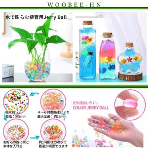 植育用 ぷよぷよ ジェリーボール 植物 鉢 水...の詳細画像2