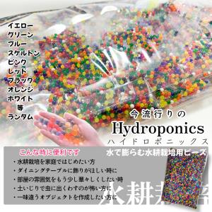 植育用 ぷよぷよ ジェリーボール 植物 鉢 水...の詳細画像4