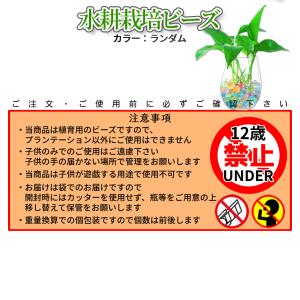 植育用 ぷよぷよ ジェリーボール 植物 鉢 水...の詳細画像5