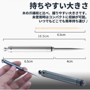 爪楊枝 つまようじ 携帯 簡単 ステンレス 水...の詳細画像4