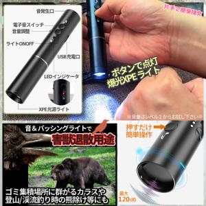 電子 ホイッスル スポーツ用 充電式 持ちやす...の詳細画像4