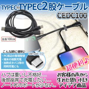 USB タイプC to タイプC type-c...の詳細画像2