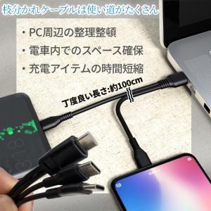 USB タイプC to タイプC type-c...の詳細画像5