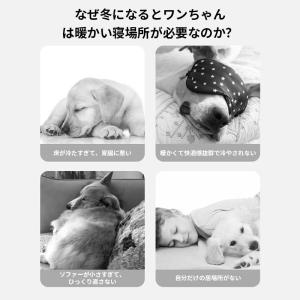 【限定セール】 犬ハウス ドーム型 2WAY ...の詳細画像1