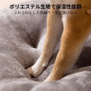【限定セール】 犬ハウス ドーム型 2WAY ...の詳細画像2