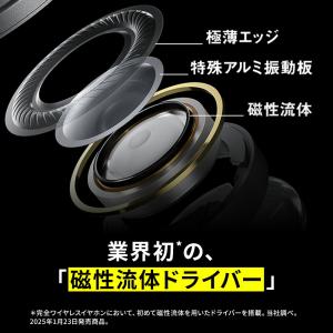公式店 テクニクス イヤホン EAH-AZ10...の詳細画像5