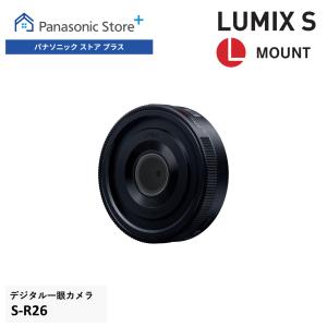 Panasonic パナソニック/交換レンズ/24-105mm/S-R24105