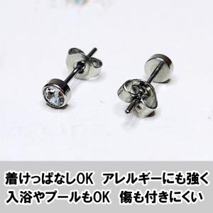 サージカルステンレス 医療用 ファーストピアス...の詳細画像1