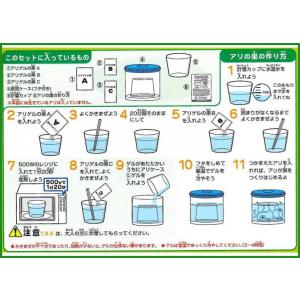 アリの巣観察キット 1コ入 爽快ドラッグ 通販 Yahoo ショッピング