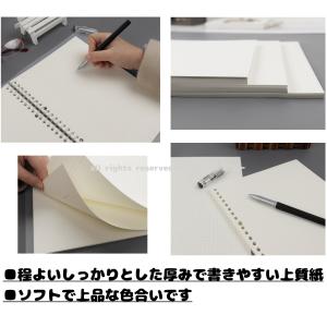 リフィル ルーズリーフ バイブル 6穴 A6 ...の詳細画像3