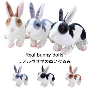 みいつけた！ ぬいぐるみ サボさんS K-8815 881531 置配対応