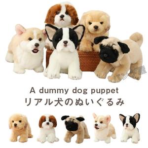 ご確認用キャバリアトライカラーぬいぐるみ Faithful Friends キャバリア（トライカラー）ぬいぐるみ】犬