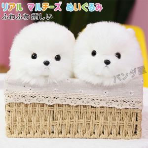 ぬいぐるみ 犬 マルチーズ 犬ぬいぐるみ ファーストトイ 動物 アニマル