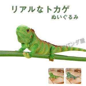 エリマキトカゲ ぬいぐるみ 25cm ティーエスティーアドバンス TST