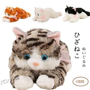 TY ぬいぐるみ ビーニーベリーズ ジェニ Mサイズ Beanie Bellies ねこ