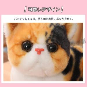 ぬいぐるみ リアル ねこ ネコ 抱き枕 小さい...の詳細画像4