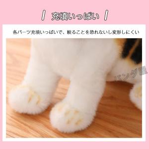 ぬいぐるみ リアル ねこ ネコ 抱き枕 小さい...の詳細画像5