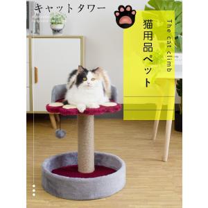ミニキャットタワーの商品一覧 通販 Yahoo ショッピング