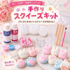 スクイーズ 手作り キット 工作 簡単 肉球 自由研究 モールド シリコン ネコ 夏休み もちもち｜パンダ雑貨店