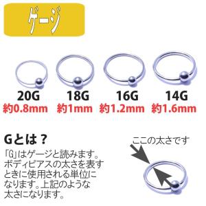 ボディピアス 20G 18G 16G 14G ...の詳細画像1