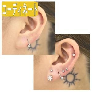 ボディピアス 20G 18G 16G 14G ...の詳細画像2