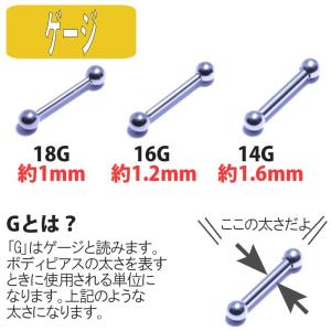 ボディピアス 18G 16G 14G ストレー...の詳細画像1