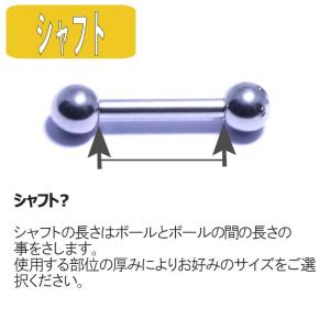 ボディピアス 18G 16G 14G ストレー...の詳細画像3