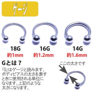 ボディピアス 18G 16G 14G サージカ...の詳細画像1