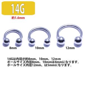 ボディピアス 18G 16G 14G サージカ...の詳細画像5