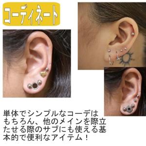 ボディピアス 14G〜00G 拡張器 アクリル...の詳細画像5