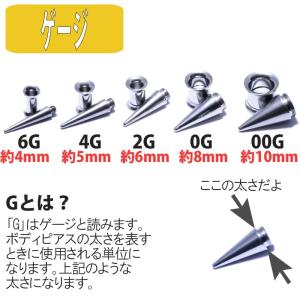 ボディピアス 6G 4G 2G 0G 00G ...の詳細画像1