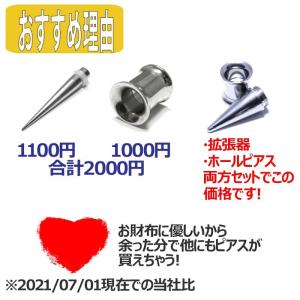 ボディピアス 6G 4G 2G 0G 00G ...の詳細画像3