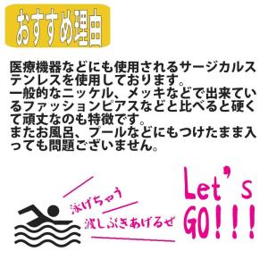 ボディピアス 6G 4G 2G 0G 00G ...の詳細画像4