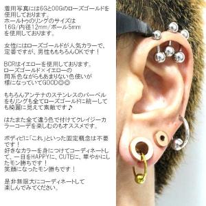 ボディピアス 10G 8G 6G 4G 2G ...の詳細画像1