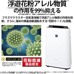 【即納新品】SHARP シャープ 加湿 空気清...の詳細画像5