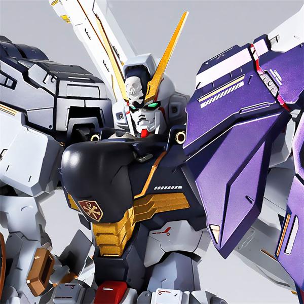 【25.06月新発売】METAL BUILD クロスボーン・ガンダムX1 ハーフクロス（キンケドゥ搭...