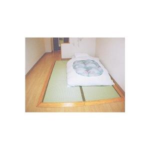 ユニットたたみさわやか 四畳半全面スロープ付 ...の詳細画像1