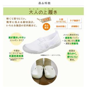 室内用シューズ 大人の上履き01 スリッポンタ...の詳細画像1