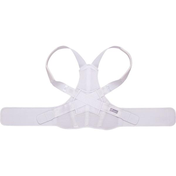 お医者さんのがっちり背すじベルト M〜L L〜LL アルファックス │ サポーター 背中 背筋 サポ...