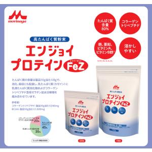 栄養補助食品 エンジョイプロテイン FeZ 2...の詳細画像1