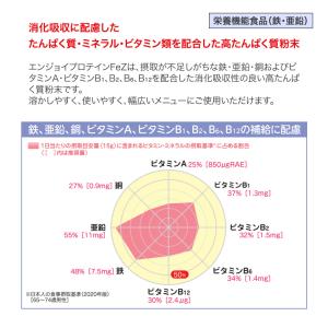 栄養補助食品 エンジョイプロテイン FeZ 2...の詳細画像2