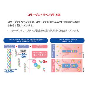 栄養補助食品 エンジョイプロテイン FeZ 2...の詳細画像4