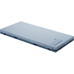 個人様向け限定商品) (パラマウントベッド) 脚分離型スリングシート