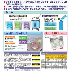 水分補給飲料 ウォーターメイト 600G アッ...の詳細画像1