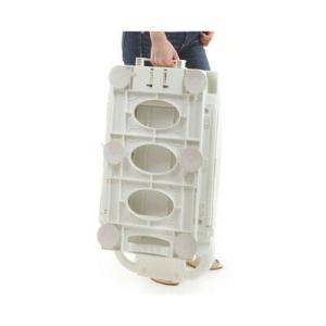 バスリフト 簡易型入浴補助リフト フラップ8c...の詳細画像1