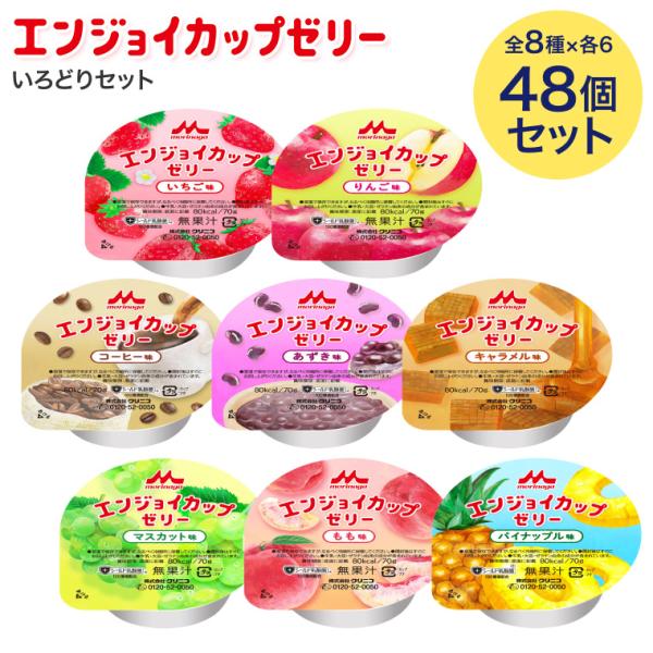 栄養補助食品 デザート ゼリー 介護食 エンジョイカップゼリー いろどりセット 70g 合計48個（...