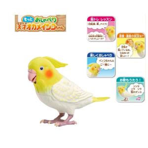 もっとおしゃべり 天才オカメインコちゃん タカラ...の商品画像