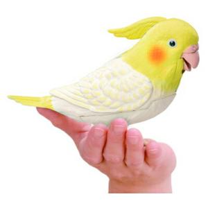 もっとおしゃべり 天才オカメインコちゃん タカ...の詳細画像1