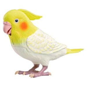 もっとおしゃべり 天才オカメインコちゃん タカ...の詳細画像2