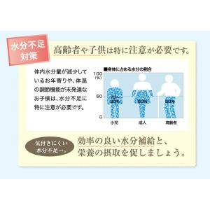 経口補水液 アクアソリタ りんご風味 500m...の詳細画像3